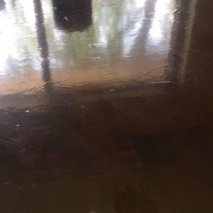 Meet your Posher, Genesis